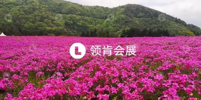 樱花1